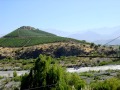 Vineyard (Los Andes, Chile).